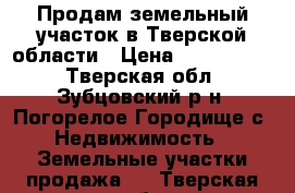 Продам земельный участок в Тверской области › Цена ­ 4 500 000 - Тверская обл., Зубцовский р-н, Погорелое Городище с. Недвижимость » Земельные участки продажа   . Тверская обл.